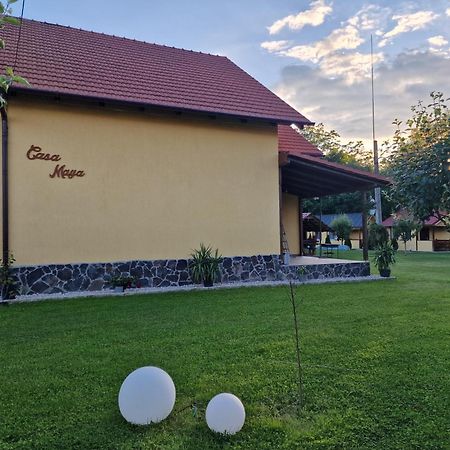 Casa Maya Săsciori Extérieur photo