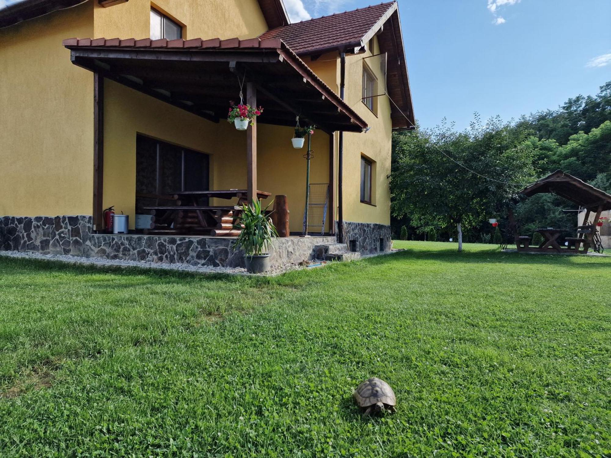 Casa Maya Săsciori Extérieur photo
